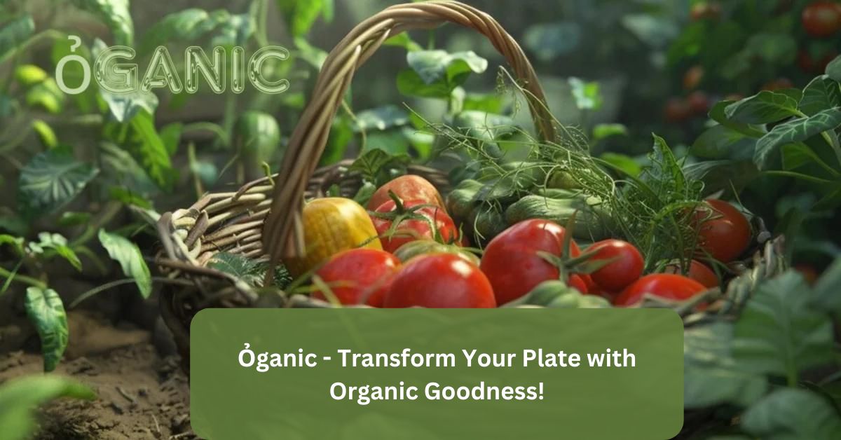 Ỏganic - Transform Your Plate with Organic Goodness!