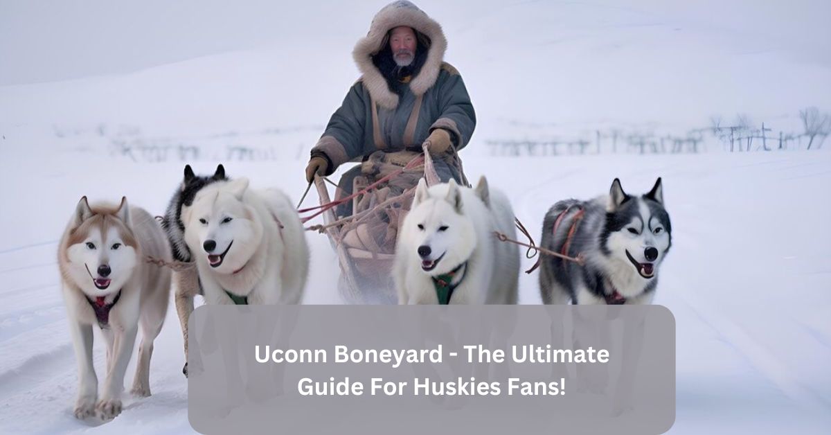 Uconn Boneyard - The Ultimate Guide For Huskies Fans!