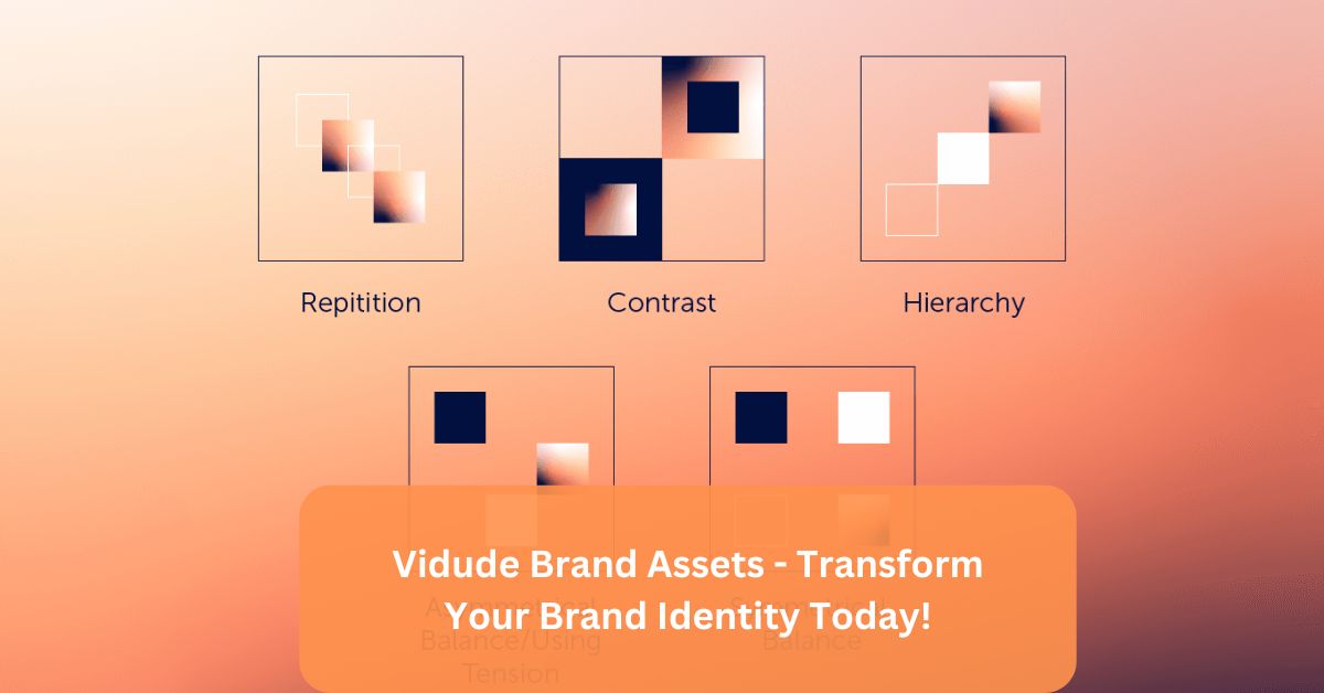 Vidude Brand Assets - Transform Your Brand Identity Today!