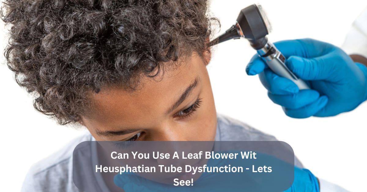 Can You Use A Leaf Blower Wit Heusphatian Tube Dysfunction - Lets See!