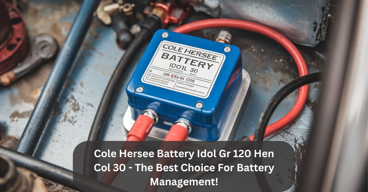 Cole Hersee Battery Idol Gr 120 Hen Col 30 - The Best Choice For Battery Management!