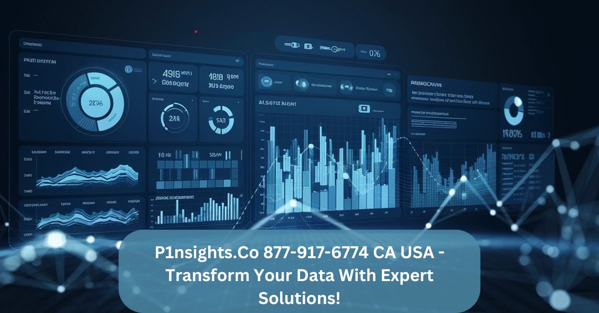 P1nsights.Co 877-917-6774 CA USA – Transform Your Data With Expert Solutions!